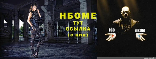 дживик Новозыбков