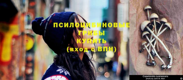 гидра Нея