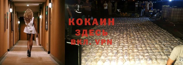 гидра Нея