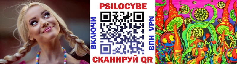 маркетплейс клад  кракен   Магас  Псилоцибиновые грибы Magic Shrooms 